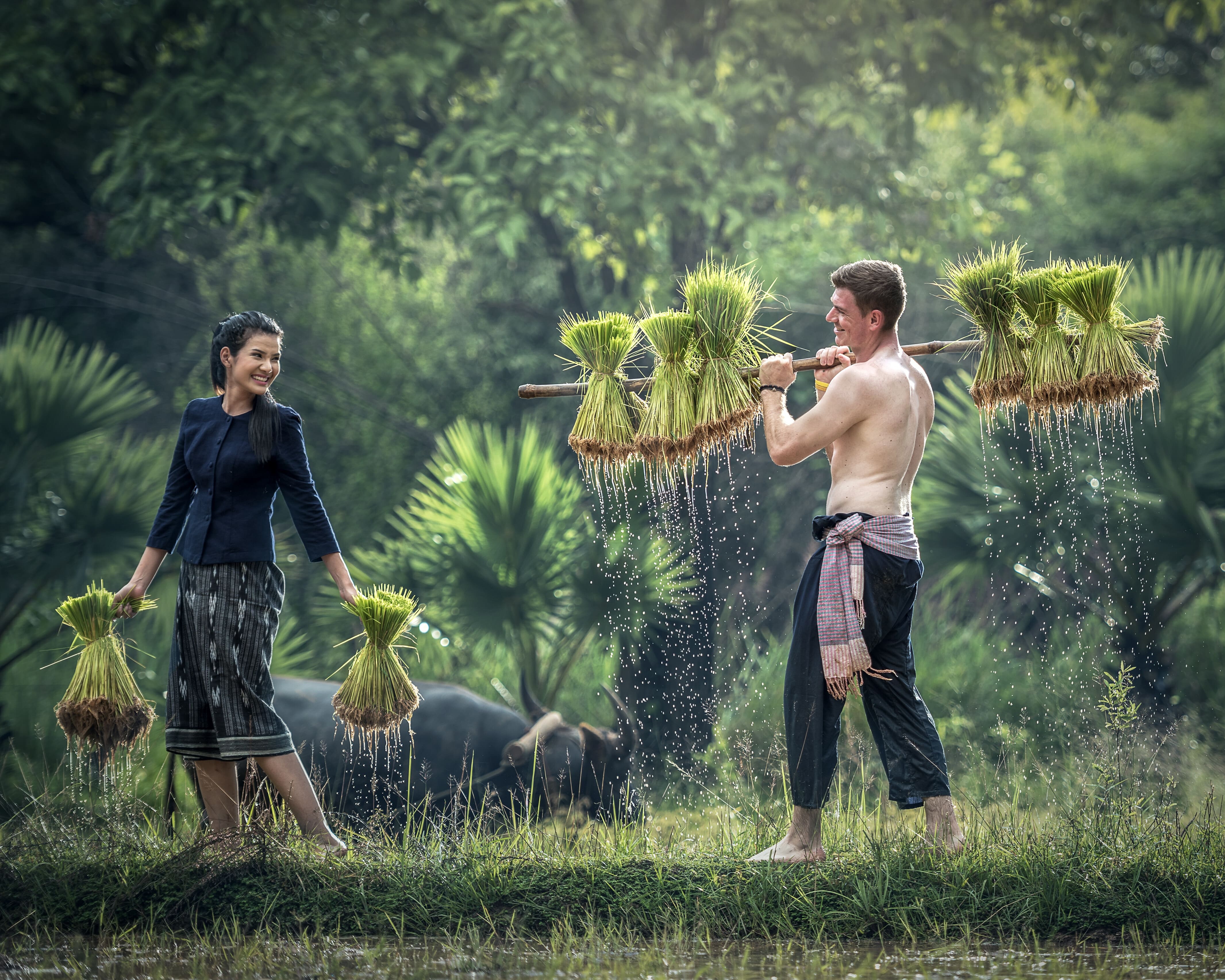 Luna de miel en Vietnam (viaje en privado)